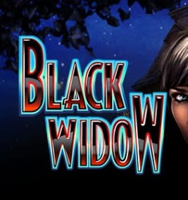 pacanele black widow logo