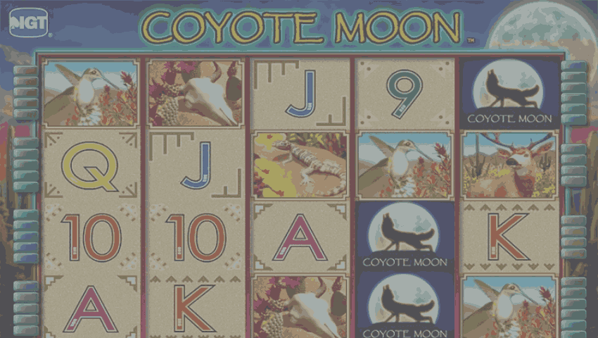 ecran coyote moon gratis