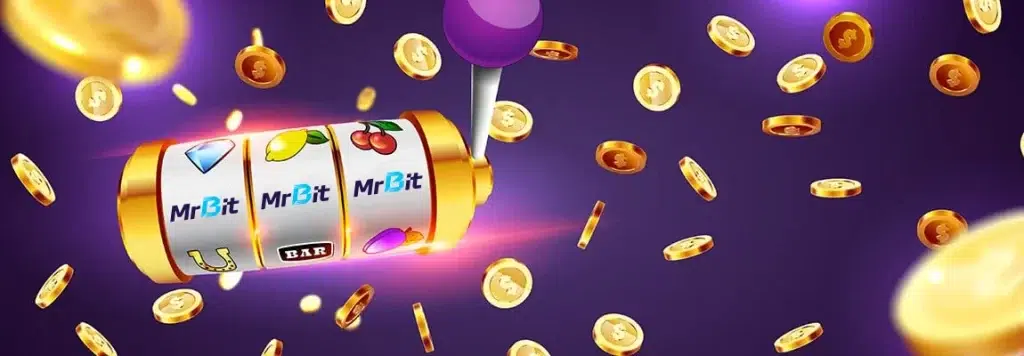 cerinte de rulaj mr bit