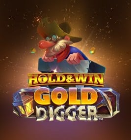 iSoftBet - Gold Digger