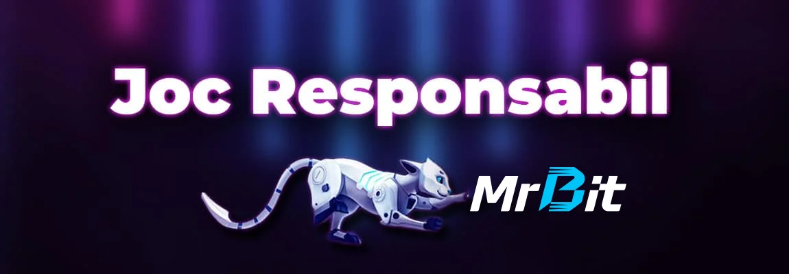 mr bit joc responsabil