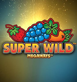 Super Wild Megaways demo