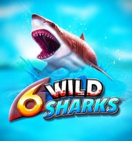 Păcănele cu speciale - 6 Wild Sharks