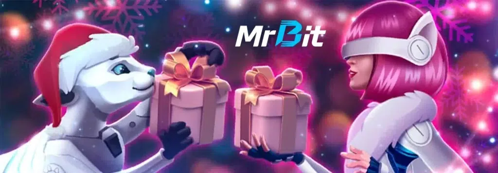 promotii mr bit de craciun