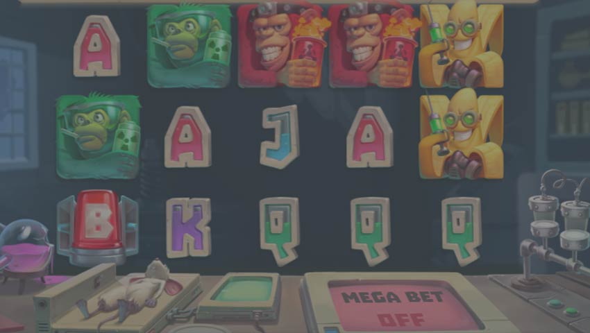 monkeys go wild demo