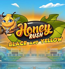 honey rush black and yellow slot