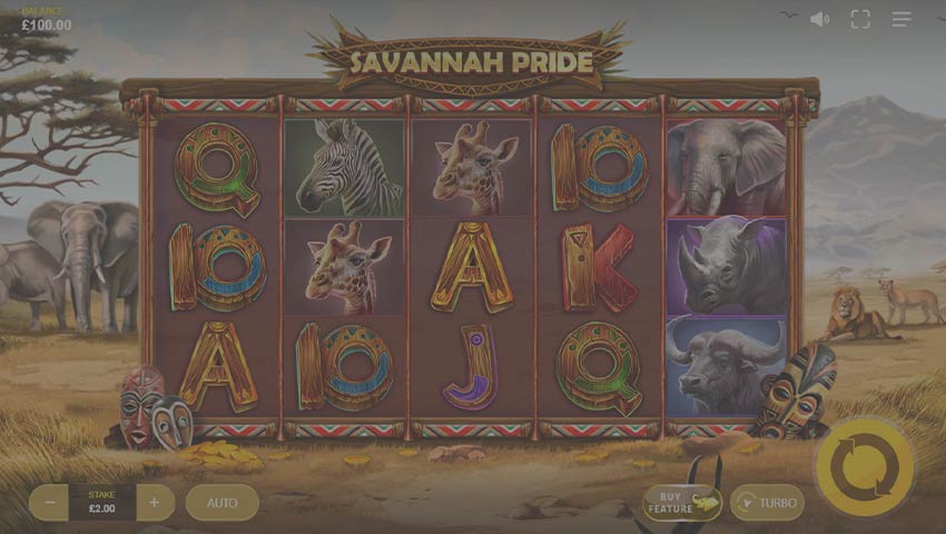 savannah pride demo