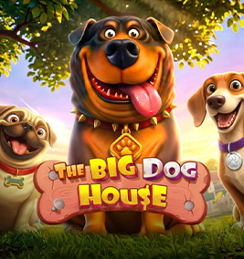 slot the big dog house