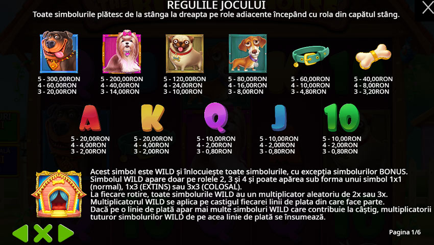 plăți the big dog house