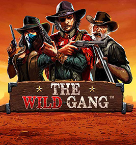 the wild gang demo