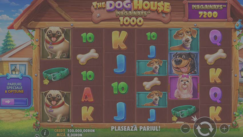 ecran the dog house megaways 1000