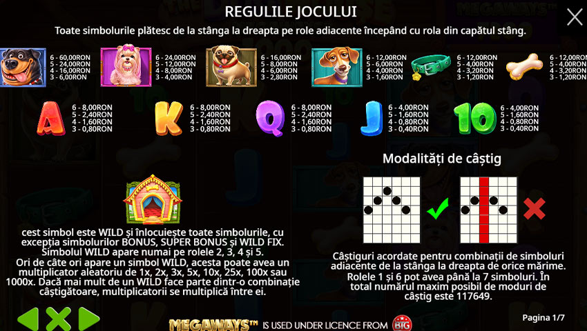 plăți the dog house megaways 1000 slot