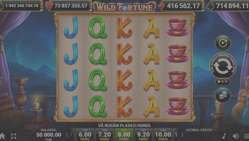 ecran wild fortune slot