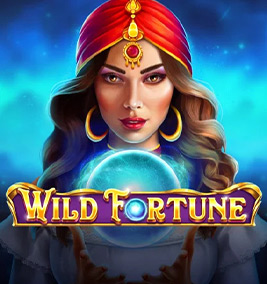 wild fortune demo logo slot